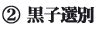 錦鯉繁殖|国際錦鯉普及センター／錦鯉を学ぶ